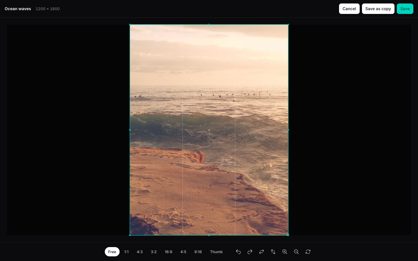 The image editor with a crop box and aspect ratio presets